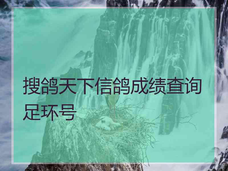 搜鸽天下信鸽成绩查询足环号