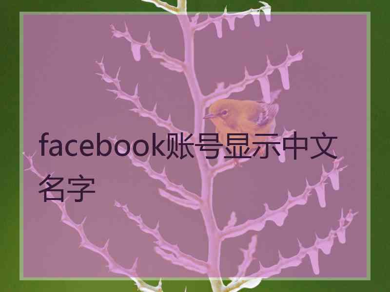 facebook账号显示中文名字