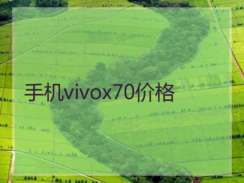 手机vivox70价格