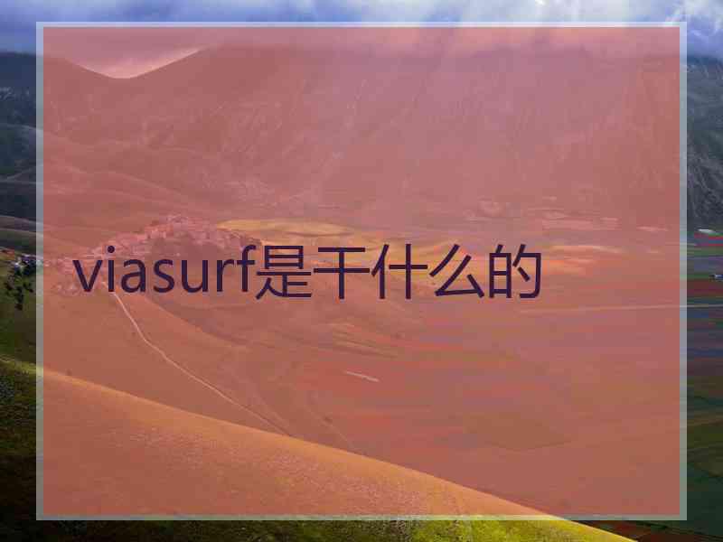 viasurf是干什么的