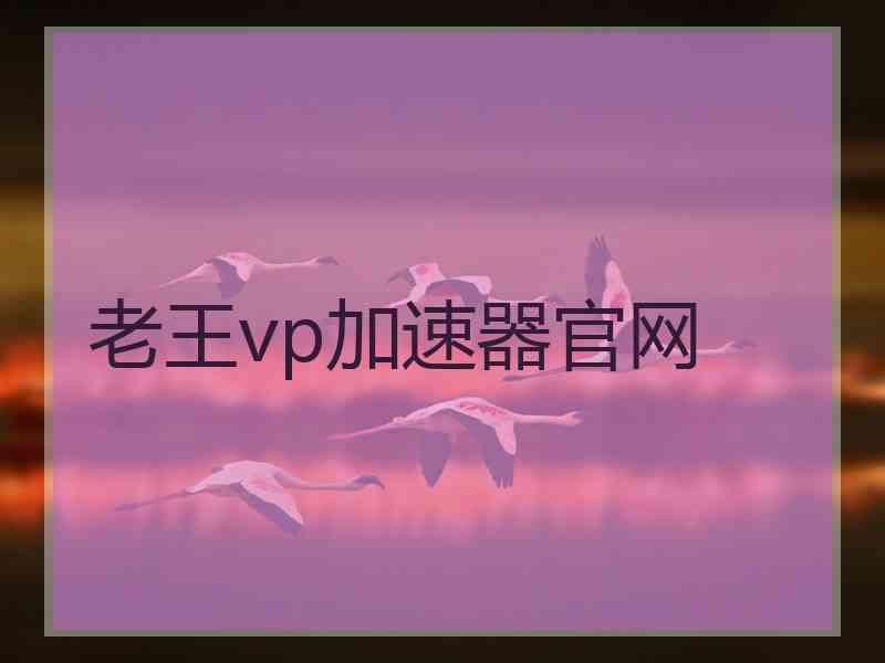 老王vp加速器官网