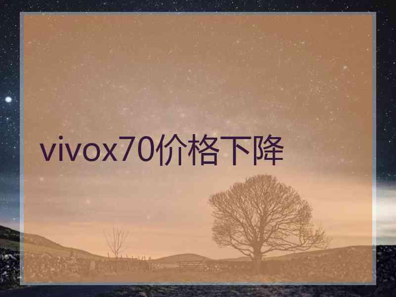 vivox70价格下降