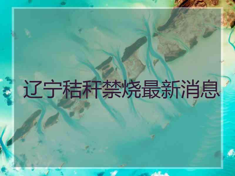 辽宁秸秆禁烧最新消息