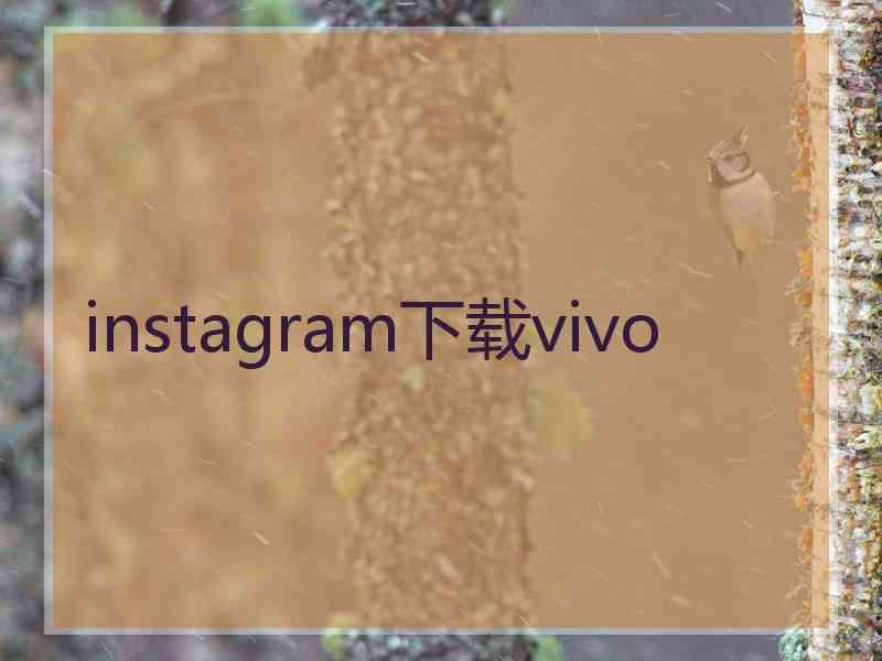 instagram下载vivo