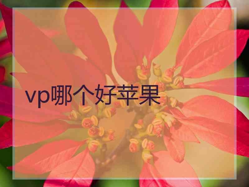 vp哪个好苹果