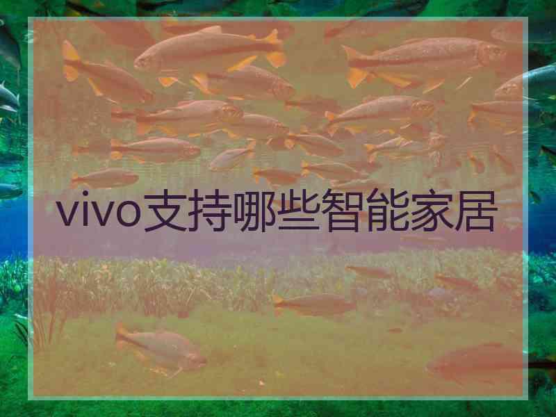 vivo支持哪些智能家居