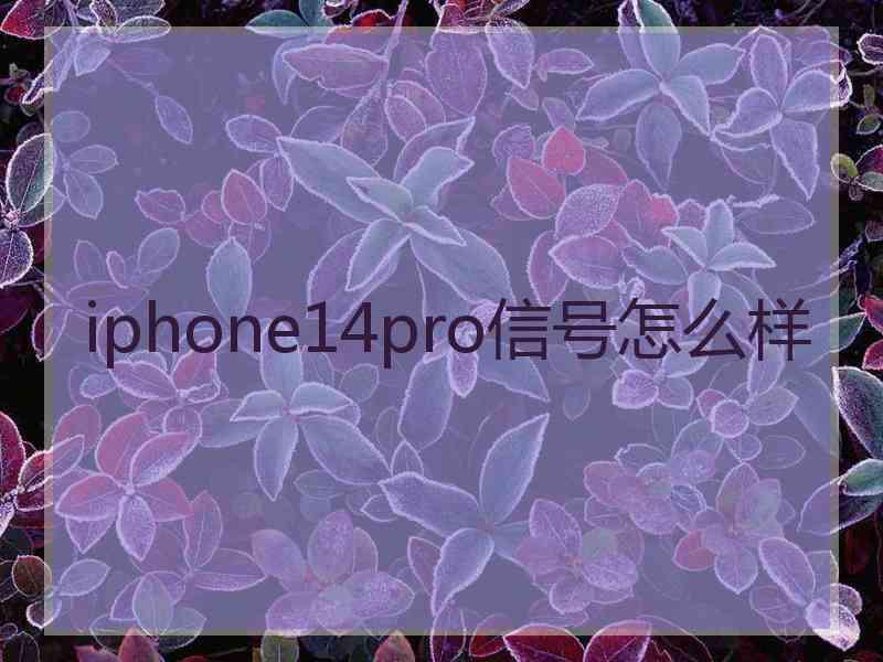 iphone14pro信号怎么样