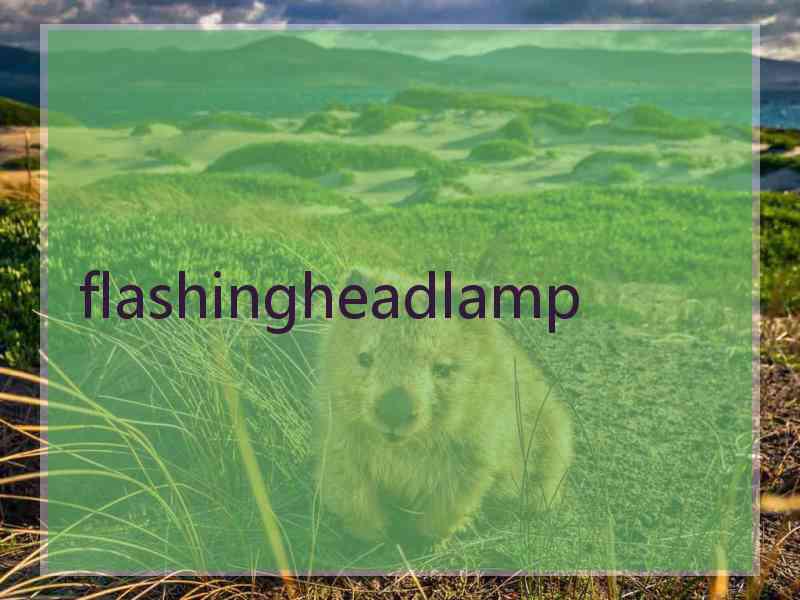 flashingheadlamp