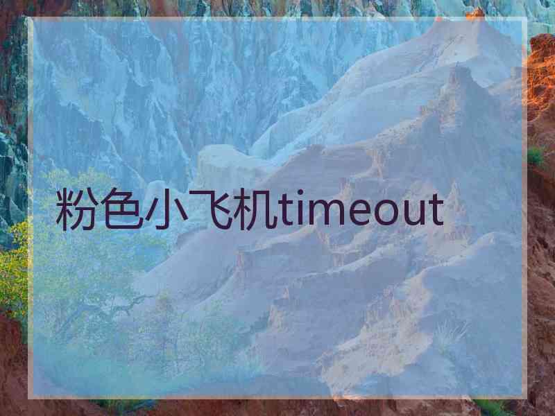 粉色小飞机timeout