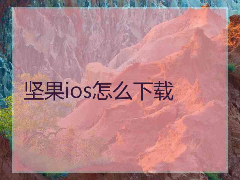 坚果ios怎么下载