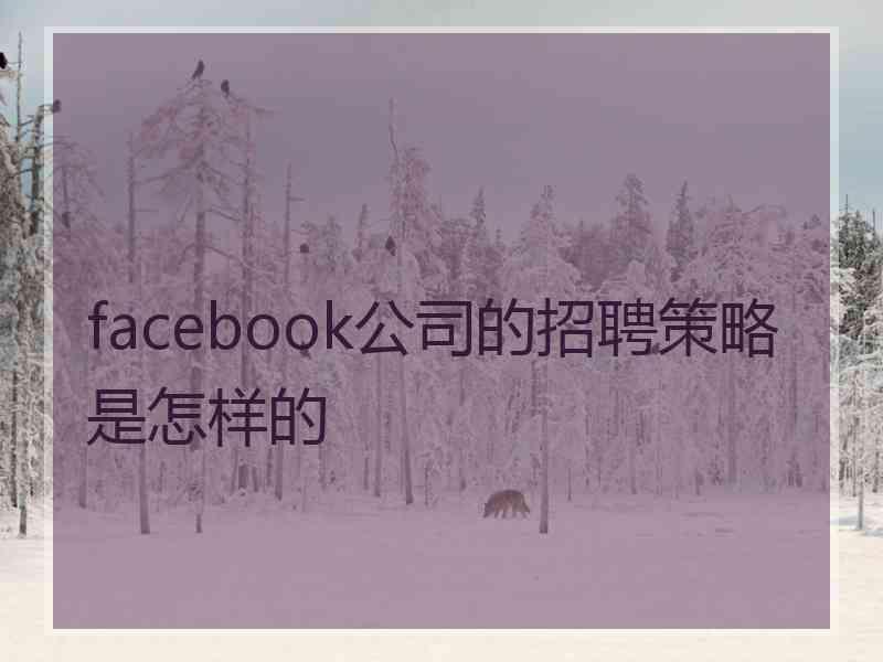 facebook公司的招聘策略是怎样的