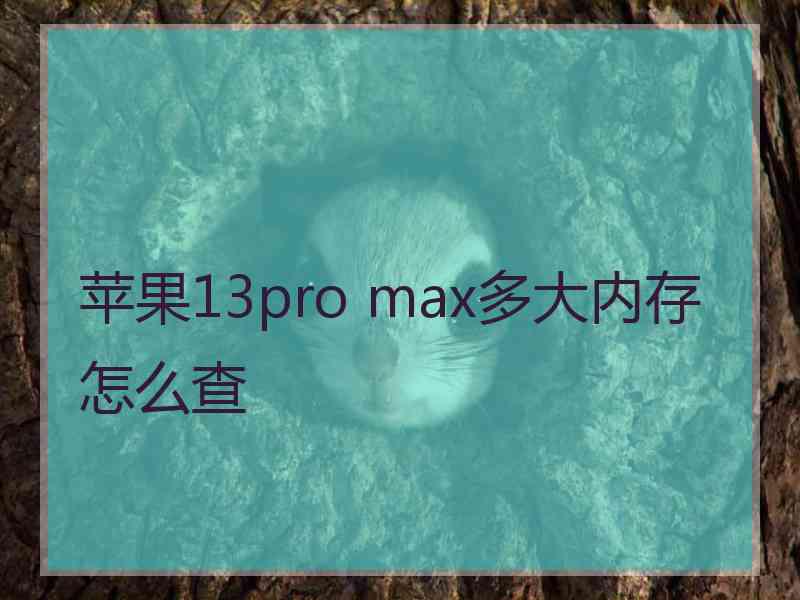 苹果13pro max多大内存怎么查