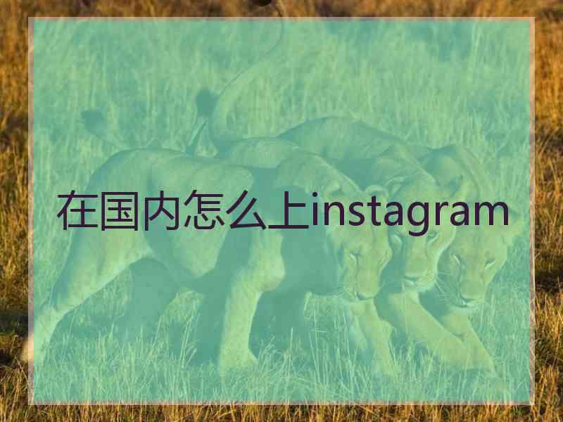 在国内怎么上instagram