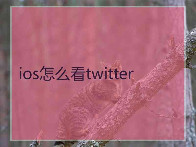 ios怎么看twitter