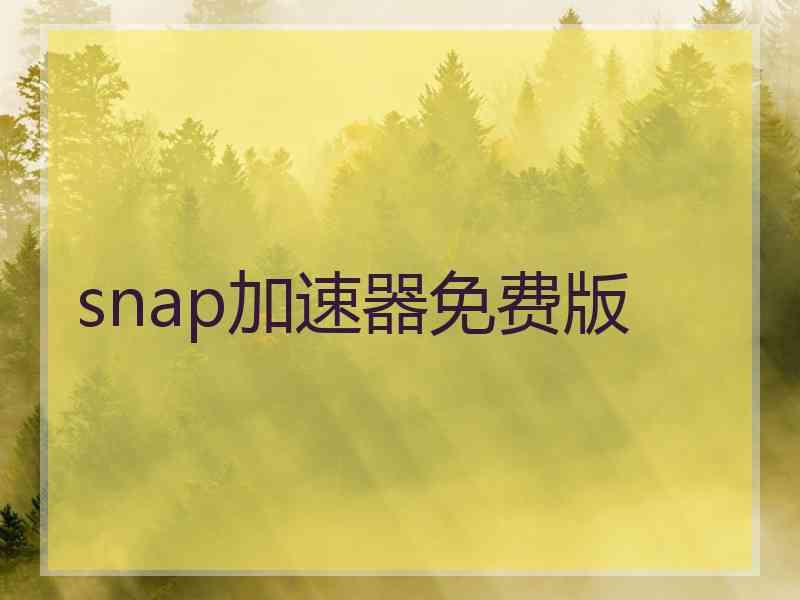 snap加速器免费版