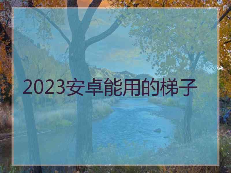 2023安卓能用的梯子