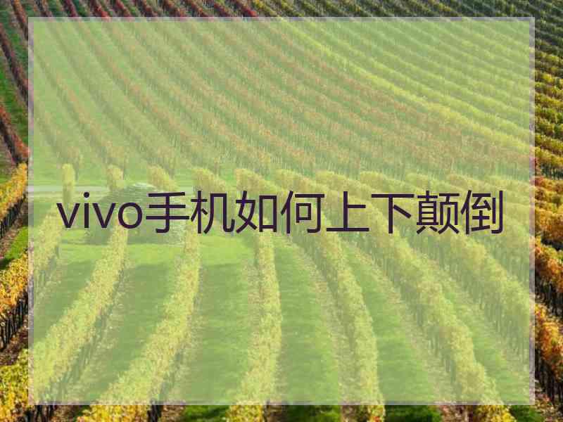 vivo手机如何上下颠倒