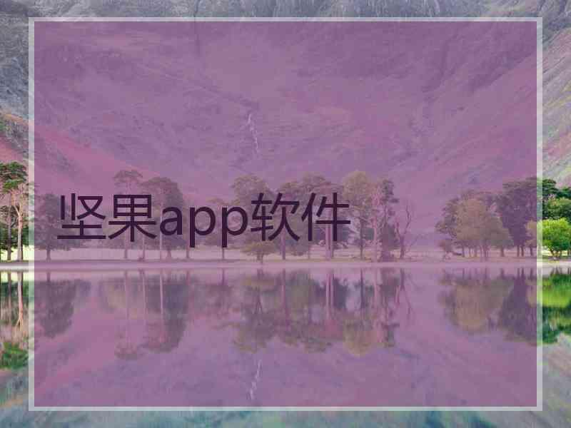 坚果app软件