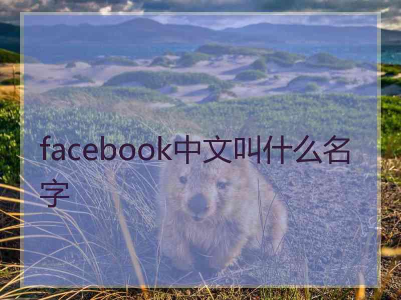 facebook中文叫什么名字