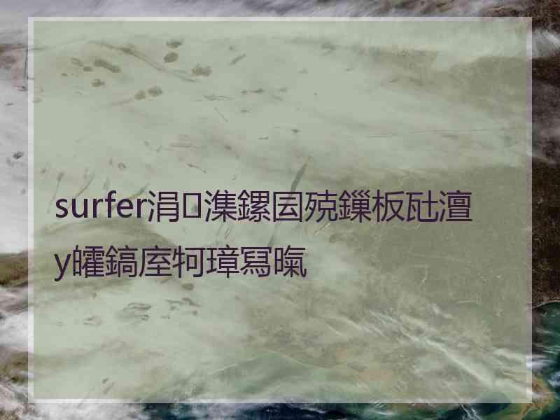 surfer涓潗鏍囩殑鏁板瓧澶у皬鎬庢牱璋冩暣