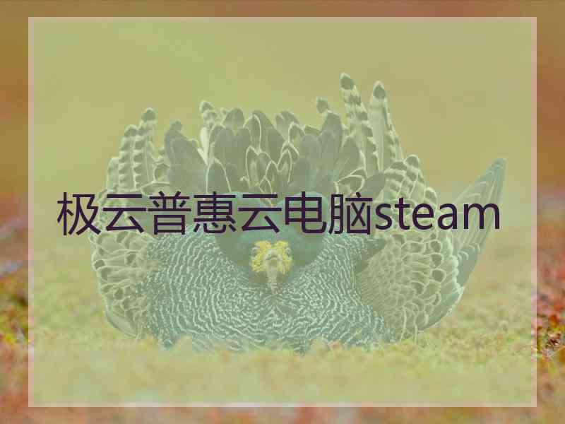 极云普惠云电脑steam