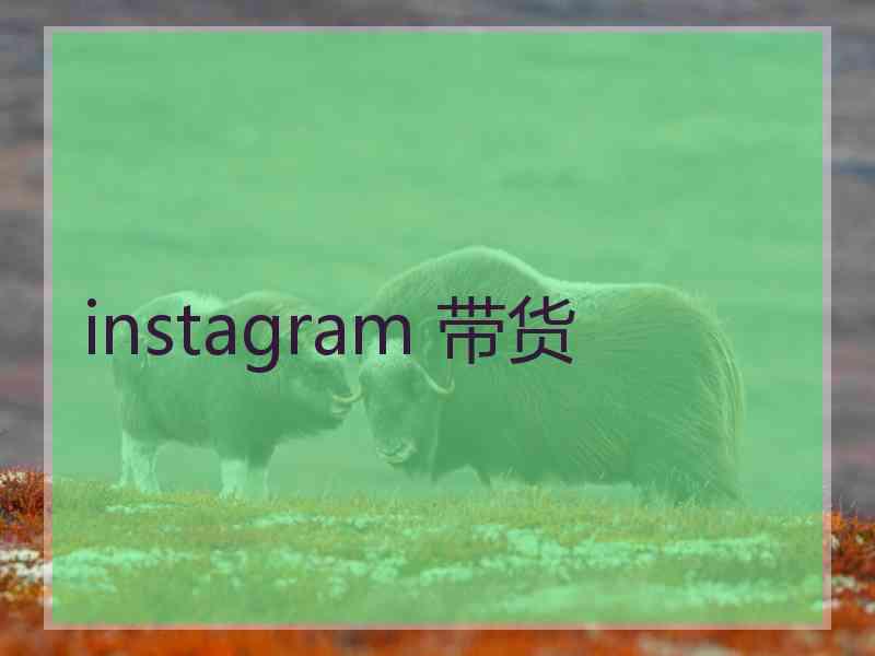 instagram 带货