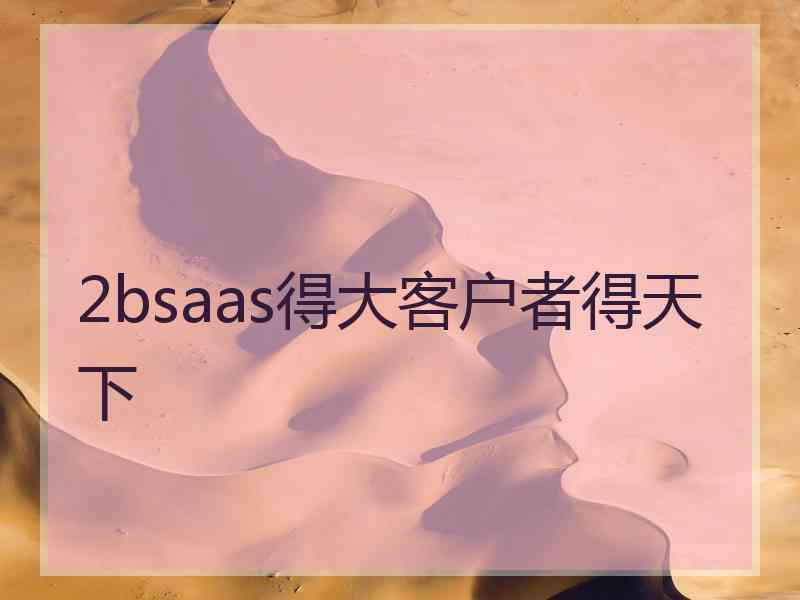 2bsaas得大客户者得天下