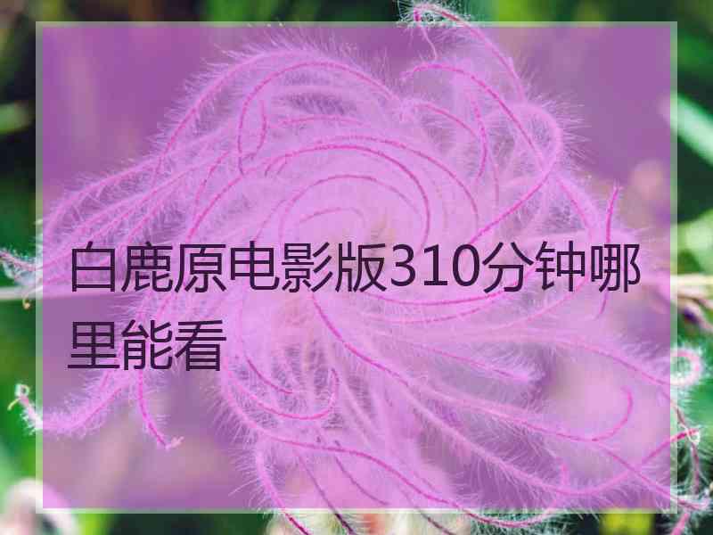 白鹿原电影版310分钟哪里能看