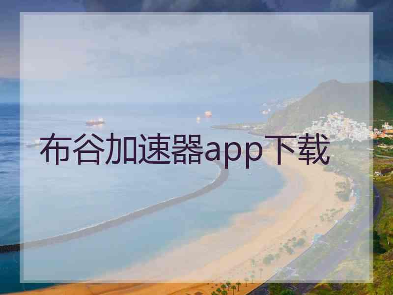 布谷加速器app下载