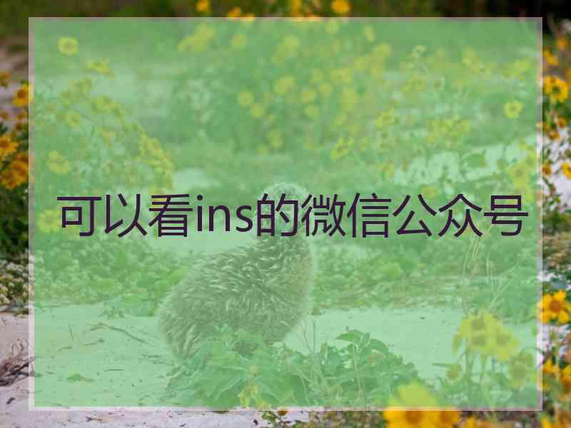 可以看ins的微信公众号