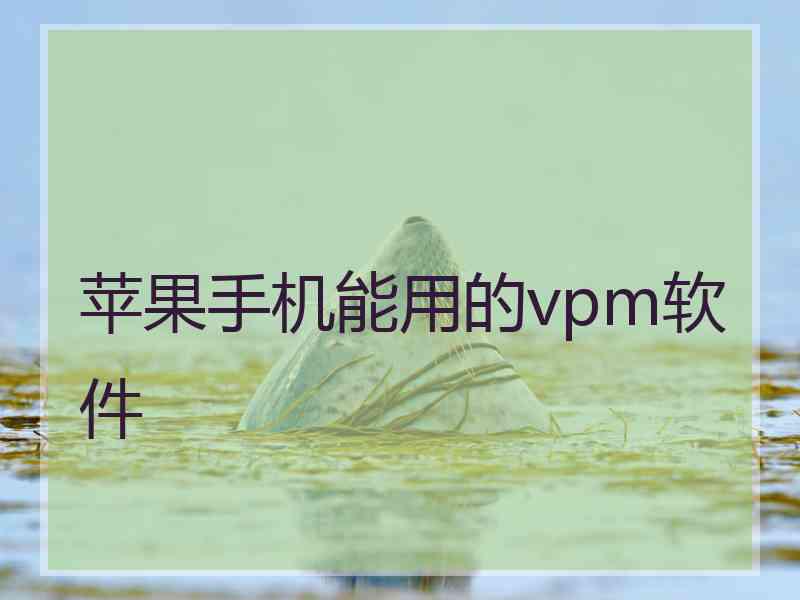 苹果手机能用的vpm软件