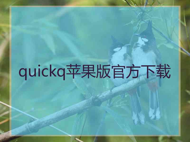 quickq苹果版官方下载