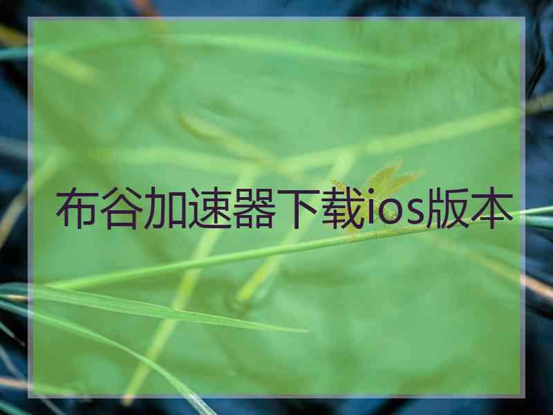 布谷加速器下载ios版本