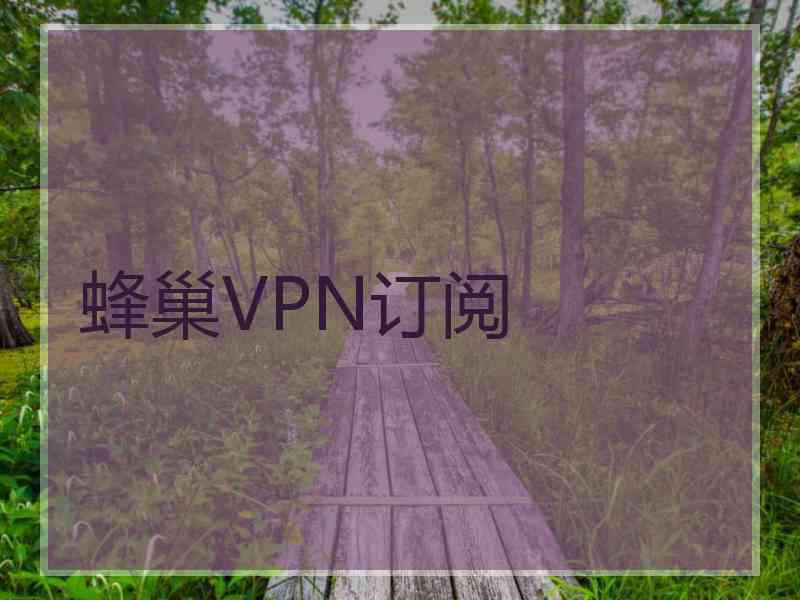 蜂巢VPN订阅