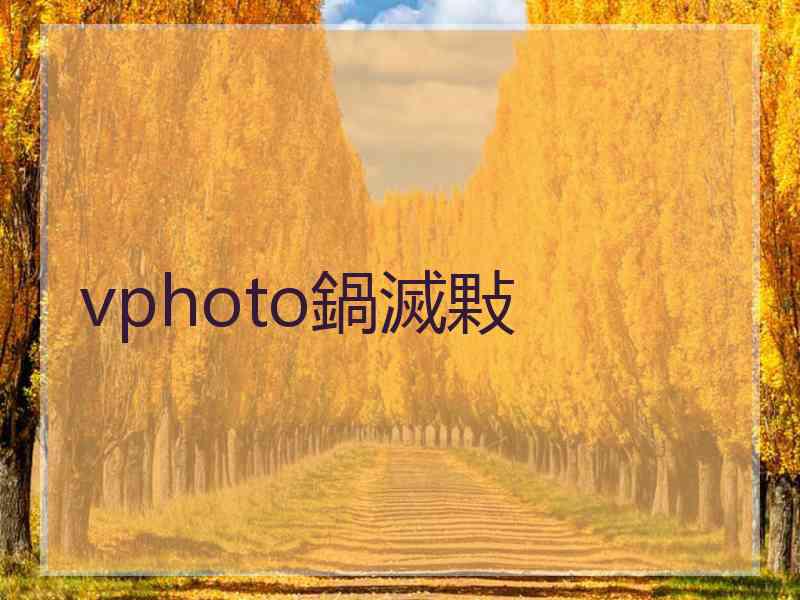 vphoto鍋滅敤