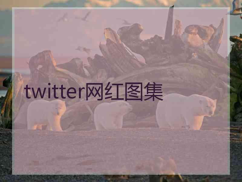 twitter网红图集