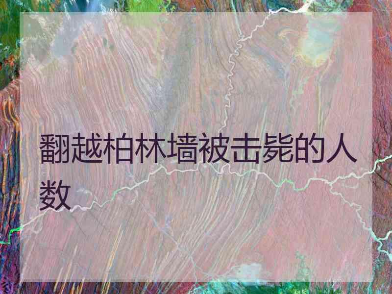 翻越柏林墙被击毙的人数