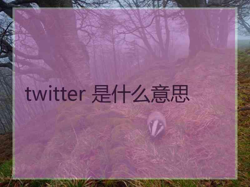 twitter 是什么意思