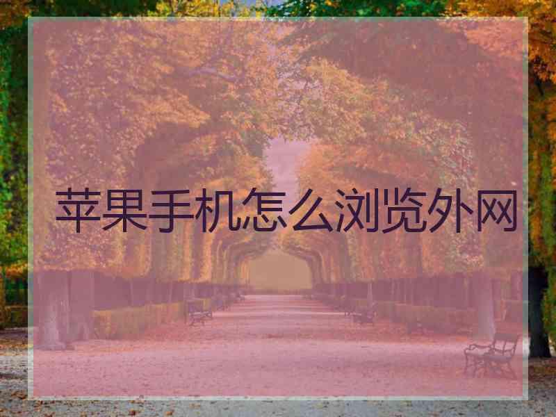 苹果手机怎么浏览外网