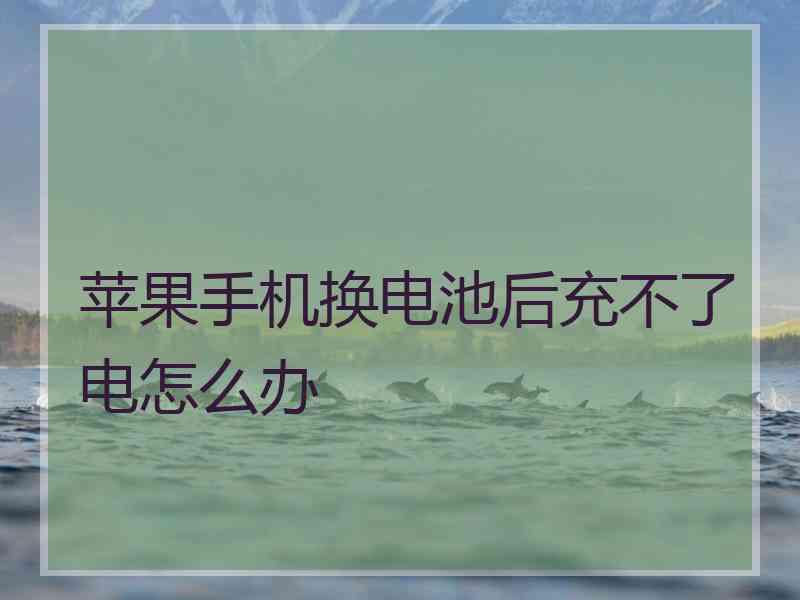 苹果手机换电池后充不了电怎么办