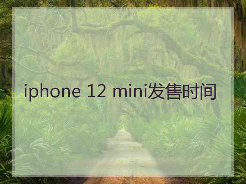 iphone 12 mini发售时间