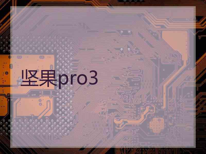 坚果pro3