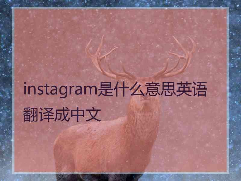 instagram是什么意思英语翻译成中文