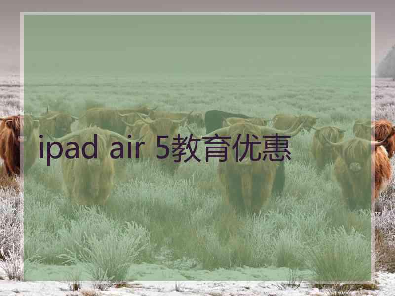 ipad air 5教育优惠