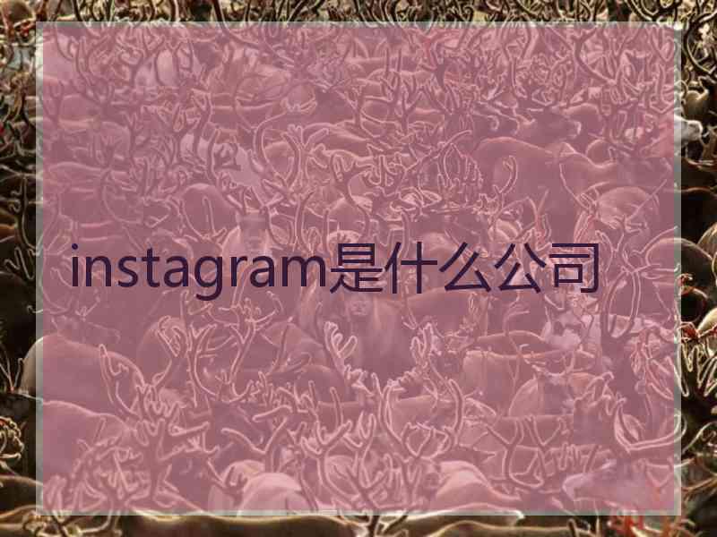 instagram是什么公司