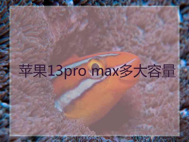 苹果13pro max多大容量