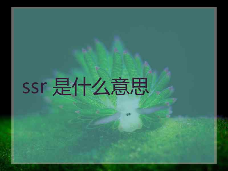 ssr 是什么意思