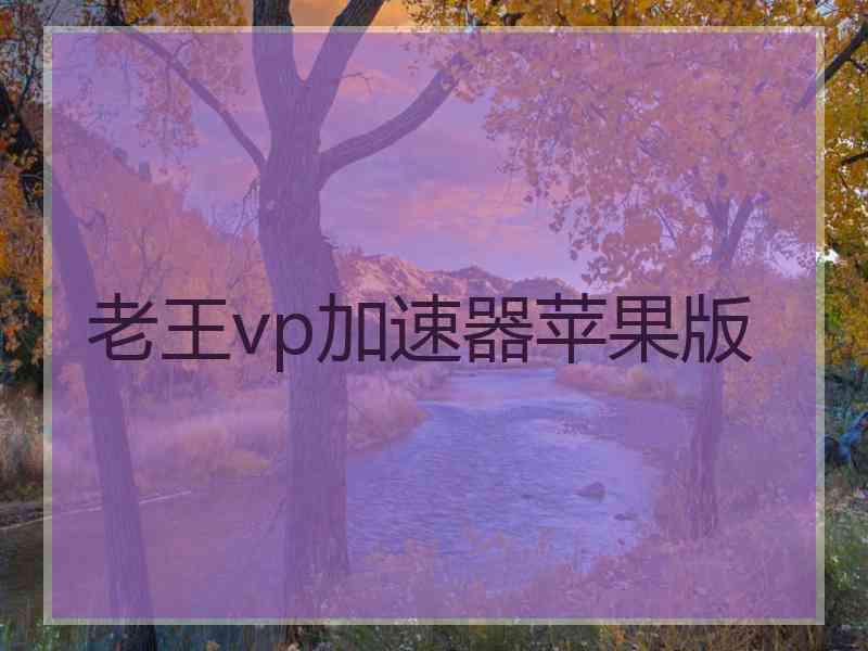 老王vp加速器苹果版