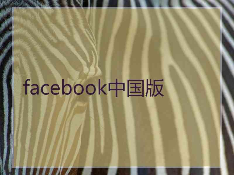 facebook中国版