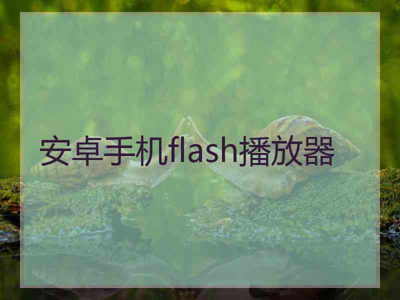 安卓手机flash播放器